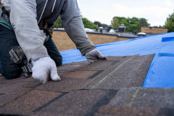 Quick and Trustworthy Emergency Roof Repair Services in Houghton, NY