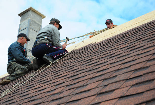 Best Residential Roofing Contractor  in Houghton, NY